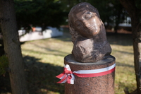 Samyang AF 24-60 mm f/2.8 FE - sample shots