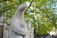 Sigma A 35 mm f/1.4 DG II - sample shots