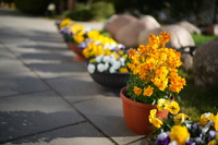 Sigma A 35 mm f/1.4 DG II - sample shots