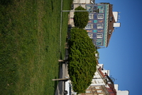 Vilitrox AF 35 mm f/1.8 EVO - sample shots