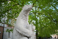 Vilitrox AF 35 mm f/1.8 EVO - sample shots