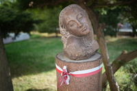 Vilitrox AF 35 mm f/1.8 EVO - sample shots