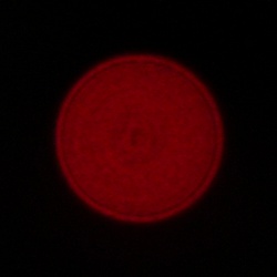 Sigma C 15 mm f/1.4 DC - Chromatic and spherical aberration