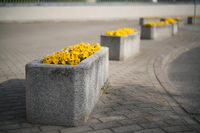 Viltrox AF 55 mm f/1.8 EVO - sample shots