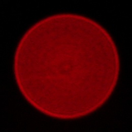 Viltrox AF 55 mm f/1.8 EVO - Chromatic and spherical aberration