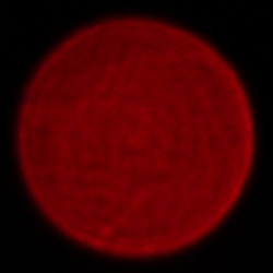 Samyang AF 24-60 mm f/2.8 FE - Chromatic and spherical aberration