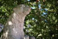 Panasonic Lumix S 100 mm f/2.8 Macro - Sample shots