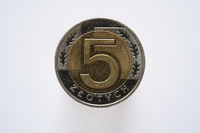 Panasonic Lumix S 100 mm f/2.8 Macro - Sample shots