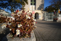 Tamron 12-20 mm f/2.8 Di III VXD - sample shots