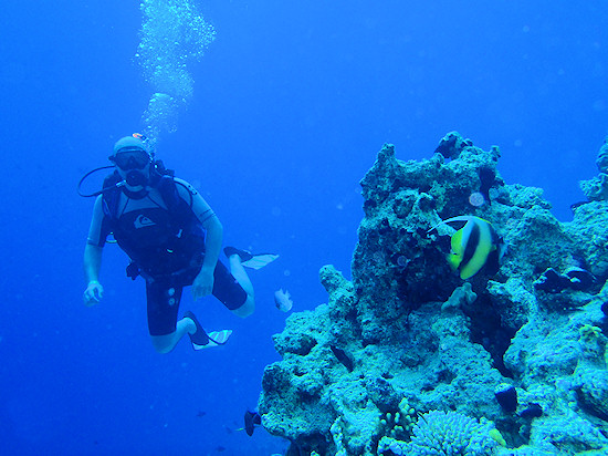 Underwater cameras test 2010  - Introduction