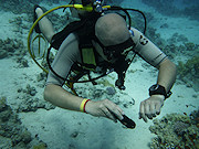 Underwater cameras test 2011 - Panasonic Lumix DMC-FT3
