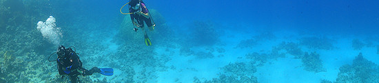 Underwater cameras test 2011 - Sony Cyber-shot DSC-TX10