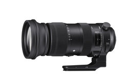 Sigma S 60-600 mm f/4.5-6.3 DG OS HSM - sample images Sigma S 60-600 mm f/4.5-6.3 DG OS HSM - sample images