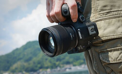 Canon RF 45 mm f/1.2 STM - sample shots