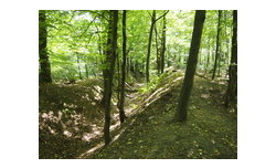 Olympus E-PL3 - sample images Olympus E-PL3 - sample images