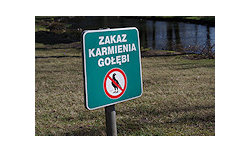 Pentax K-01 and PENTAX-DA 40 mm f/2.8 XS - sample shots