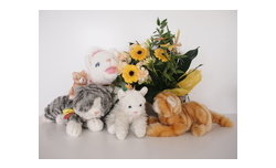 Olympus M.Zuiko Digital 17 mm f/1.8 - sample images