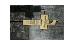 Canon EF 200-400 mm f/4 L IS USM EXT. 1.4x - sample shots